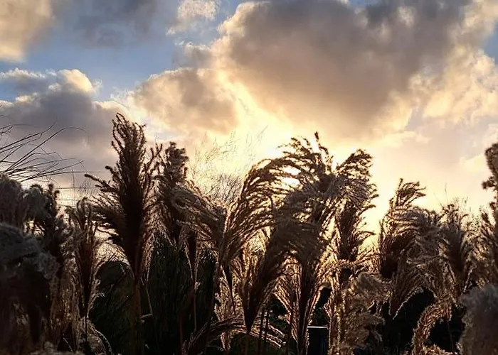 Hooger Faehre Apartamento *